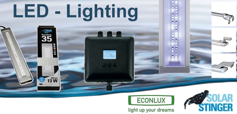 +++NEW Econlux SolarStinger SunStrip LED+++