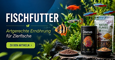 Fischfutter
