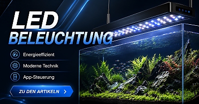 Aquarium LED Beleuchtung