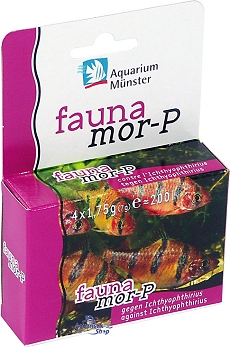 Aquarium M�nster faunamor-P