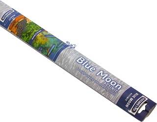 Interpet Blue Moon