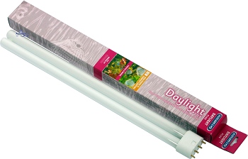 Interpet Daylight Plus T5 Compact