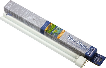 Interpet Blue Moon T5 Compact
