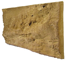 Aquarium Rückwand 78x35 cm