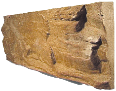 Aquarium Rückwand 98x35 cm