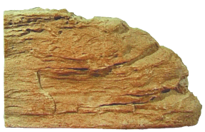 Wandfels, gross 58x32 cm