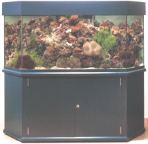 ab Aqua Medic Tridacna 160