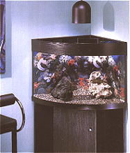 WOHA Meta Eck-Kombination 312 l