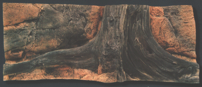 Back to Nature Amazonas 120 x 50 cm
