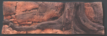 Back to Nature Amazonas 150 x 50 cm