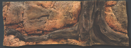 Back to Nature Amazonas 160 x 60 cm
