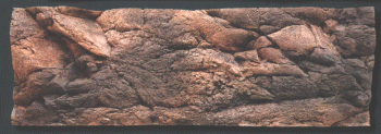 Back to Nature Malawi 150 x 50 cm