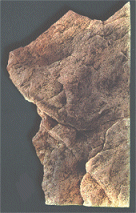 Back to Nature Modul A 73 x 45 x 20 cm