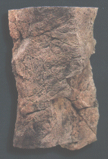 Back to Nature Filtermodul C 48 x 30 x 17 cm
