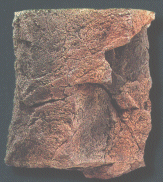 Back to Nature Filtermodul T 34 x 29 x 17 cm
