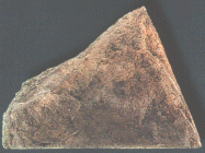 Back to Nature Modul U 35 x 25 x 11 cm