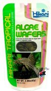 Hikari Algae Wafers