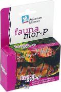 Aquarium M�nster faunamor-P