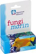 Aquarium M�nster fungimarin