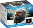 kaufen vergleich Arcadia Deko Totenkopf