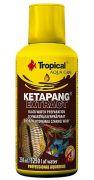 Tropical Ketapang Extract
