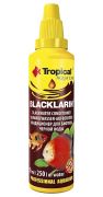 Tropical Blacklarin