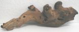kaufen vergleich Savannenholz Sandgestrahlt  Bis Ca. 25 Cm