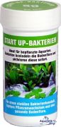 Preis Start Up - Bakterien