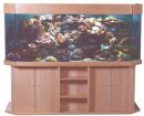 ab Aqua Medic Tridacna 200