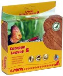 sera Catappa Leaves -Tropical almond leaves-