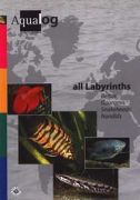 Aqualog Lexica -All Labyrinths-