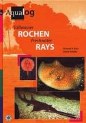 Aqualog Lexica -Süßwasser-Rochen-