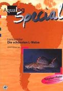 Aqualog Special -Die sch�nsten L-Welse-
