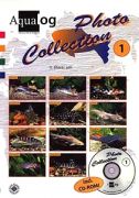 Aqualog Photo Collection Nr. 1 -Afrikanische Welse-
