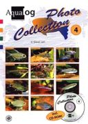 Aqualog Photo Collection Nr. 4 -Salmler 3-