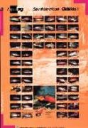 Aqualog Poster -South American Cichlids I-