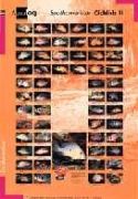 Aqualog Poster -South American Cichlids II-