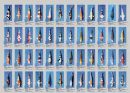Aqualog Faltposter -Farbkarpfen-