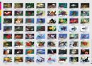 Aqualog Faltposter -Goldfische, Schleierschw�nze-
