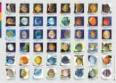 Aqualog Faltposter -Diskus B-