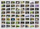 Aqualog Faltposter -Rarit�ten-