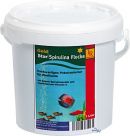 Inter-Ryba GoldStar Spirulina Flocke