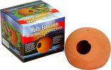Aquatic Nature Ablaichh�hle