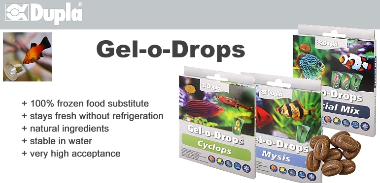 ++++NEW - DUPLA Gel-o-Drops++++