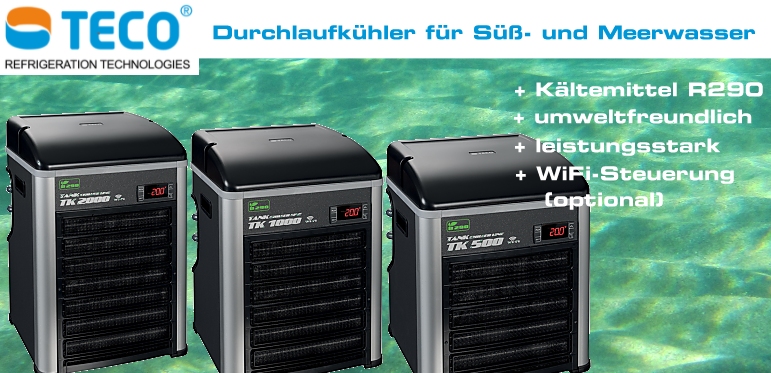 +++NEU TECO Titan-Durchlaufkühler+++