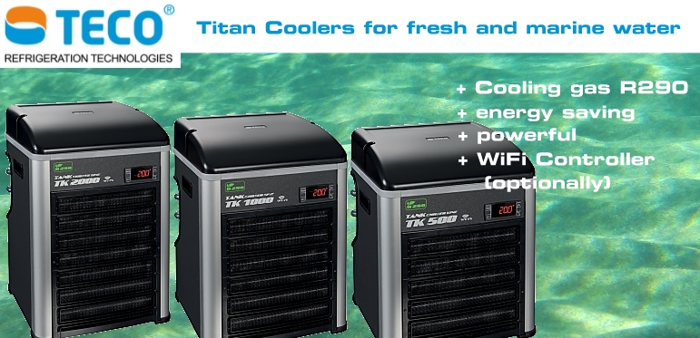 +++NEW TECO Titan Cooling Units+++