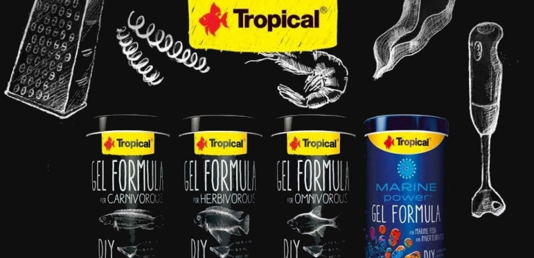 +++NEW Tropical GEL Formula+++