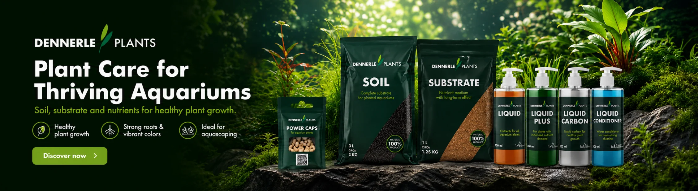 Dennerle Plants – Care for Lush Aquarium Plants