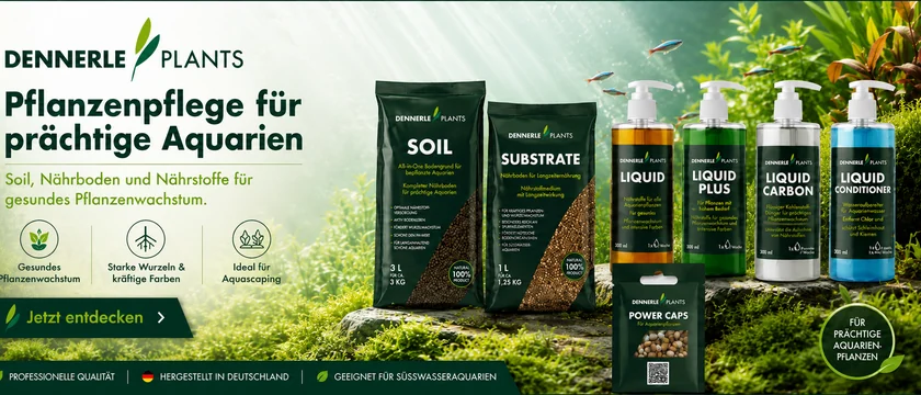 Dennerle Plants – Pflege für prächtige Aquarienpflanzen