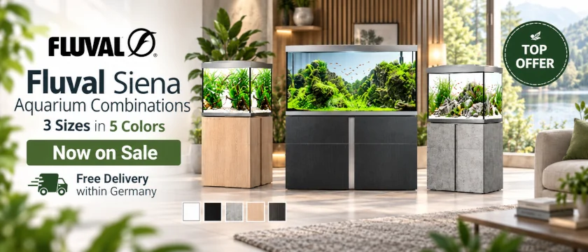Fluval SIENA - Now on Sale